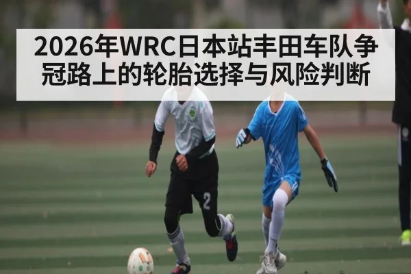 2026年WRC日本站丰田车队争冠路上的轮胎选择与风险判断